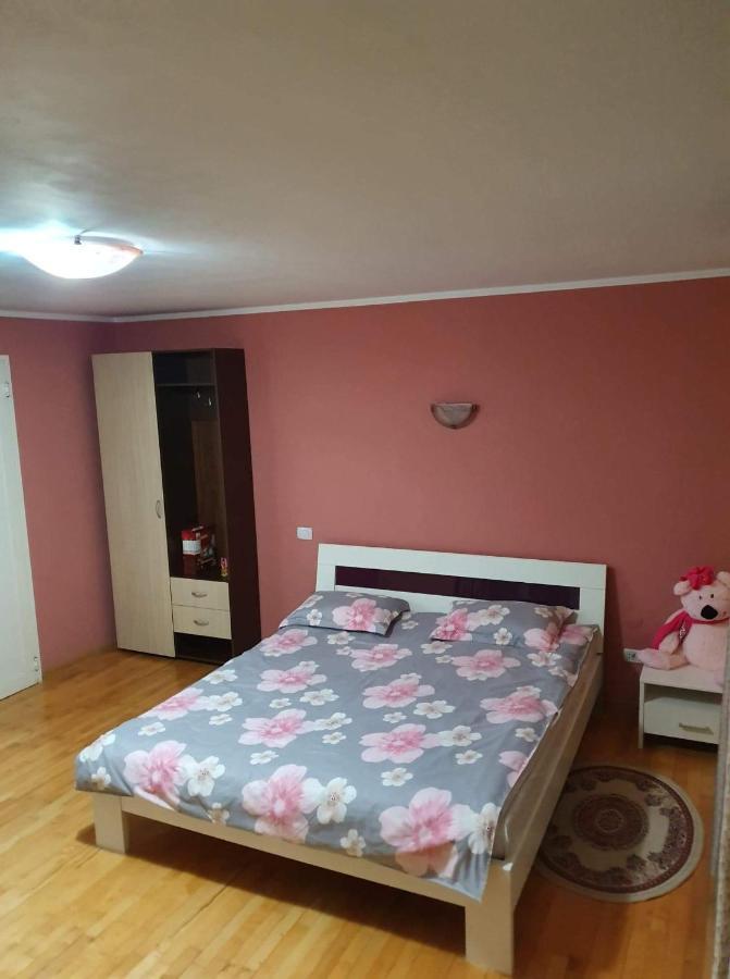 Hotel Vila Aslam Gura Humorului Esterno foto