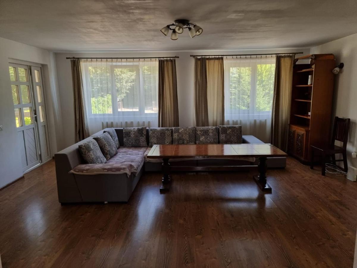 Hotel Vila Aslam Gura Humorului Esterno foto