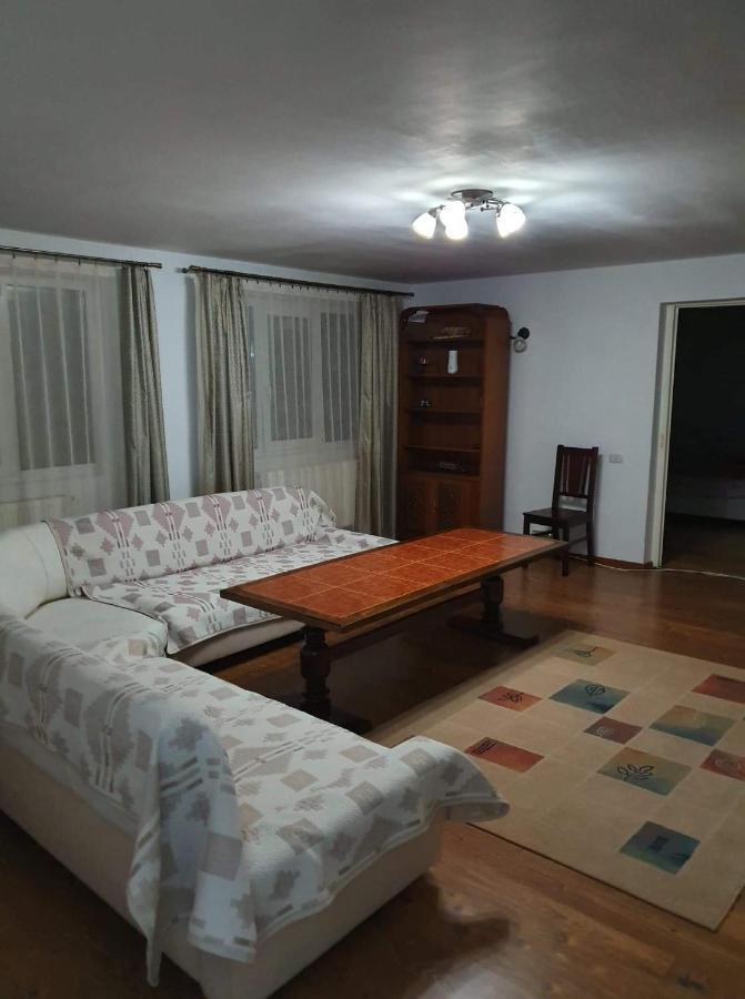 Hotel Vila Aslam Gura Humorului Esterno foto