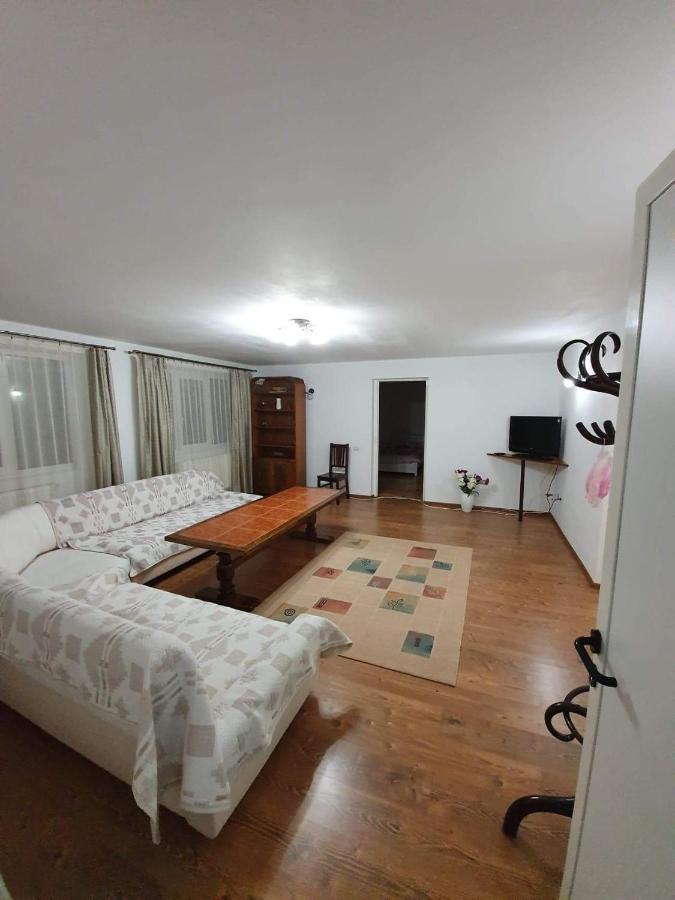 Hotel Vila Aslam Gura Humorului Esterno foto