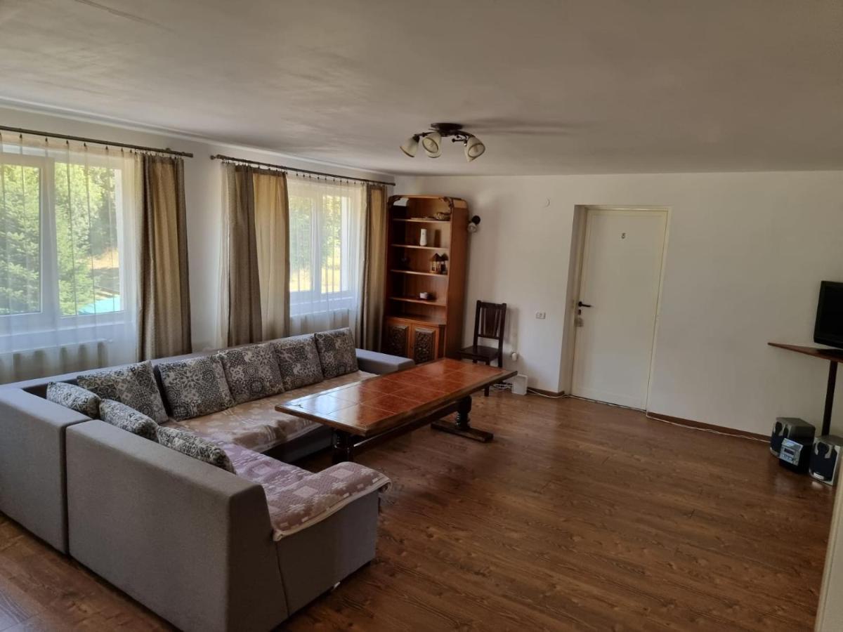 Hotel Vila Aslam Gura Humorului Esterno foto